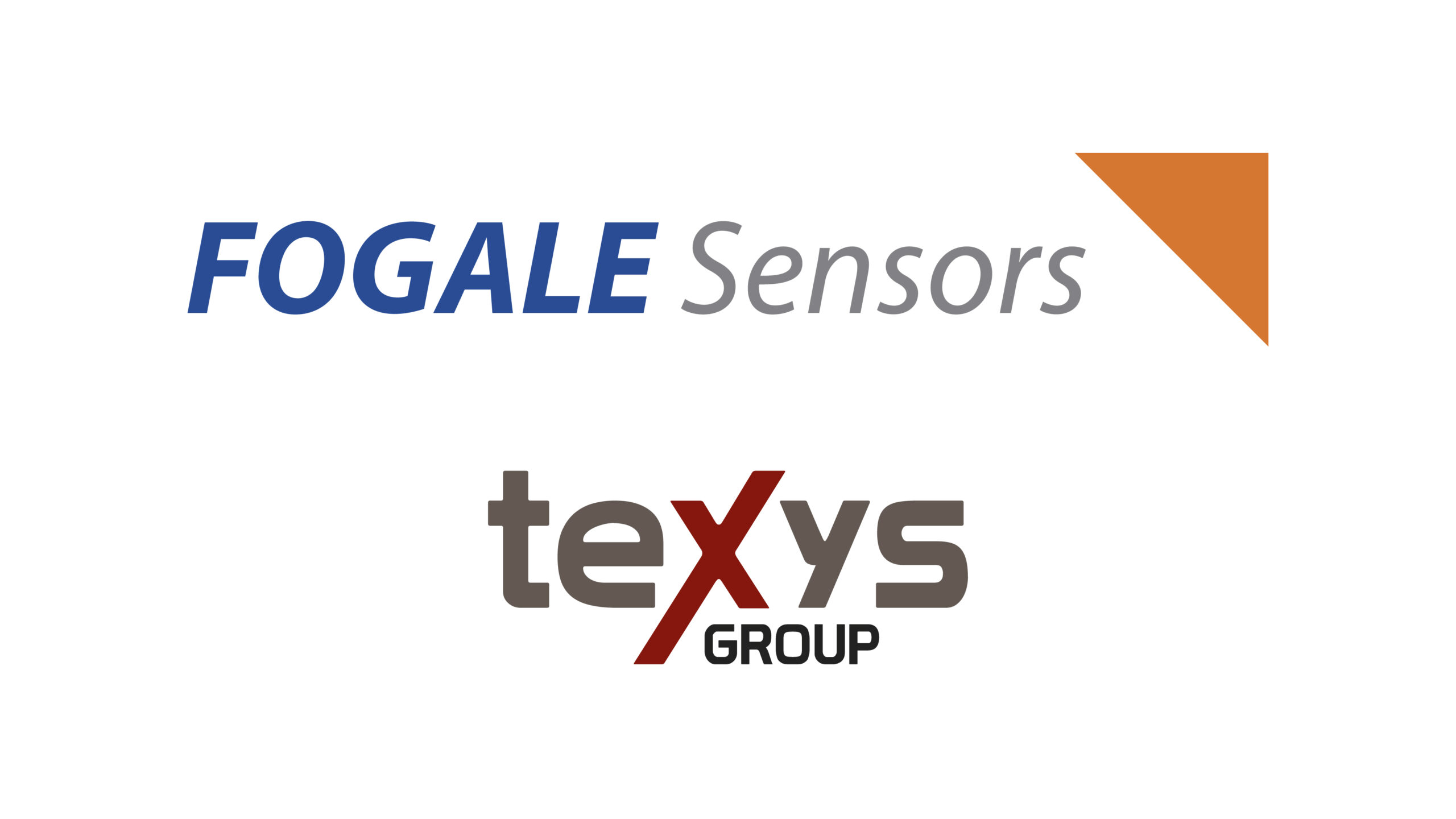 FOGALE Sensors - TEXYS